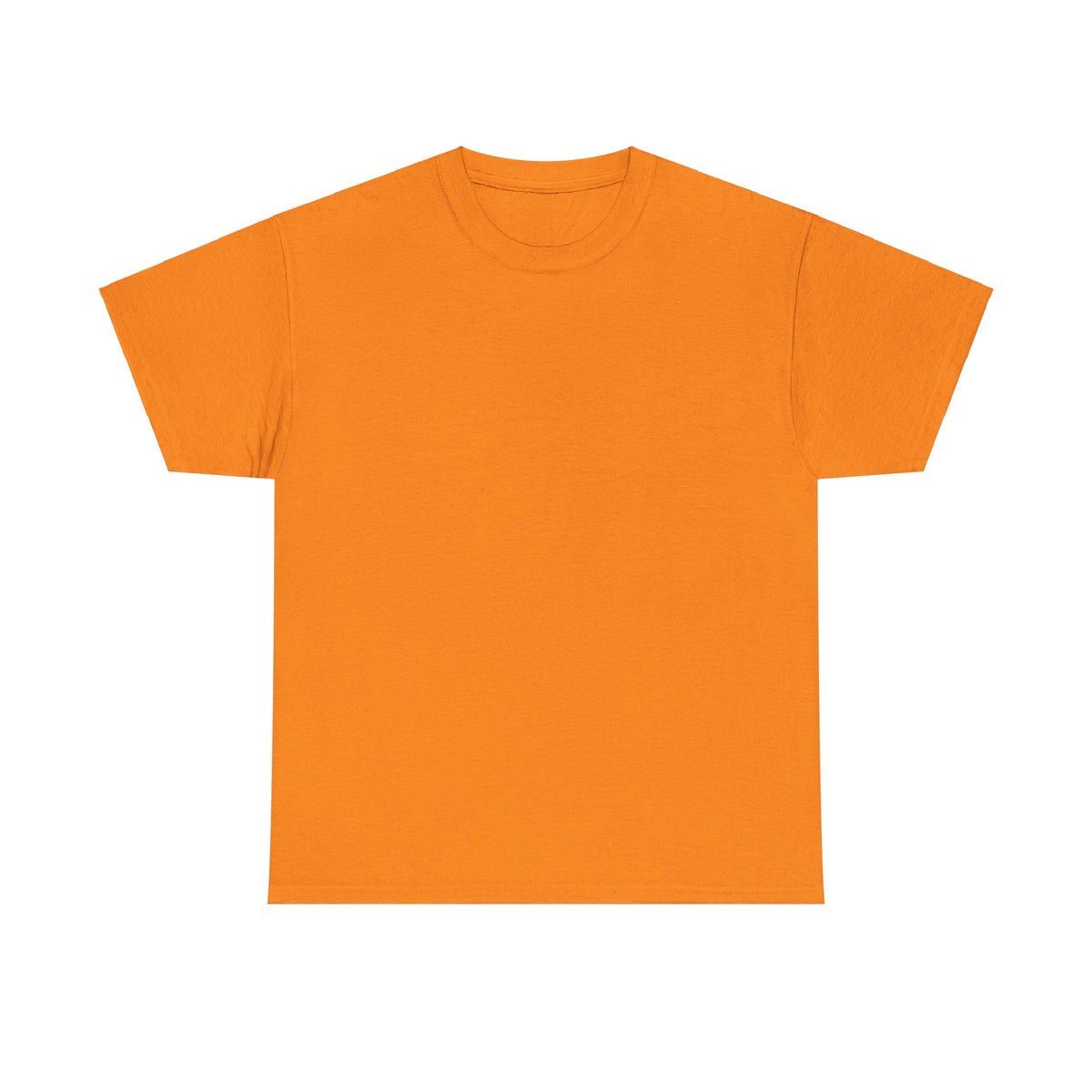 No Shortcuts, Just Hard Work Unisex Heavy Cotton Tee